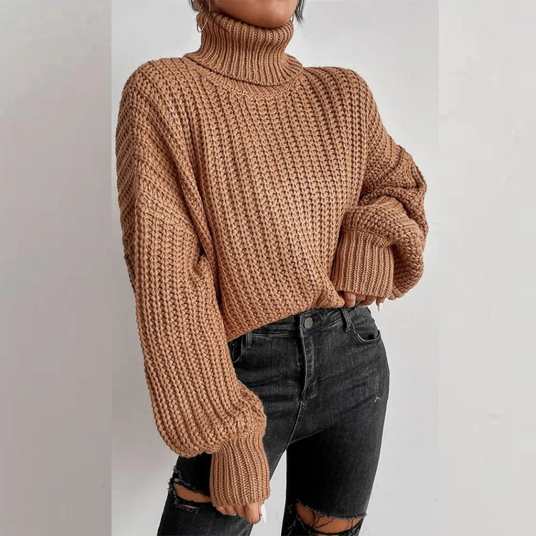 Women's Loose Knit Turtleneck Sweater