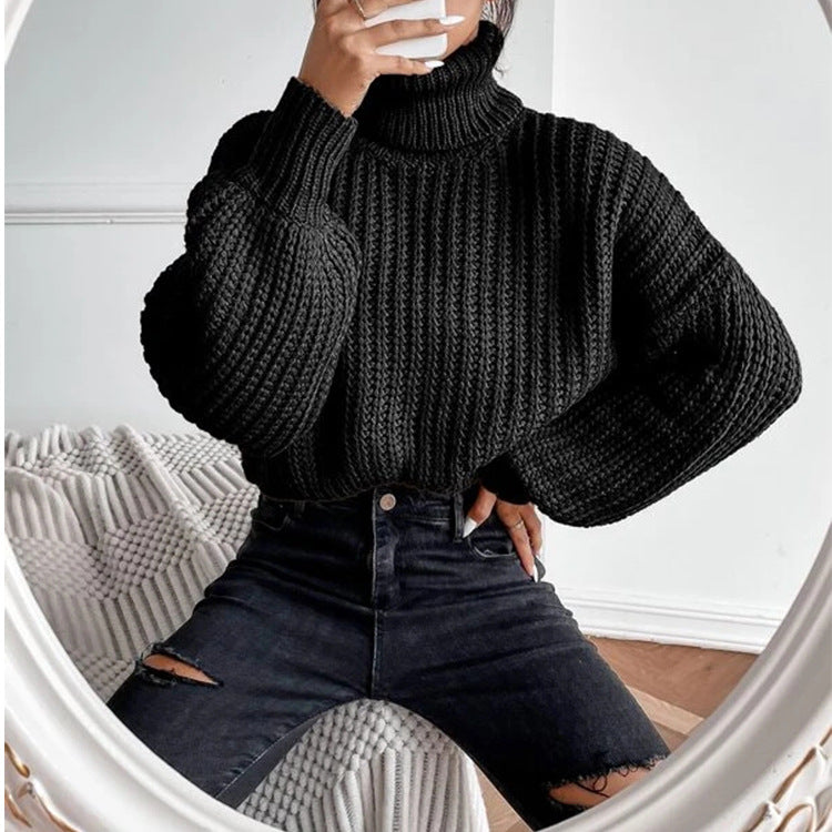 Women's Loose Knit Turtleneck Sweater