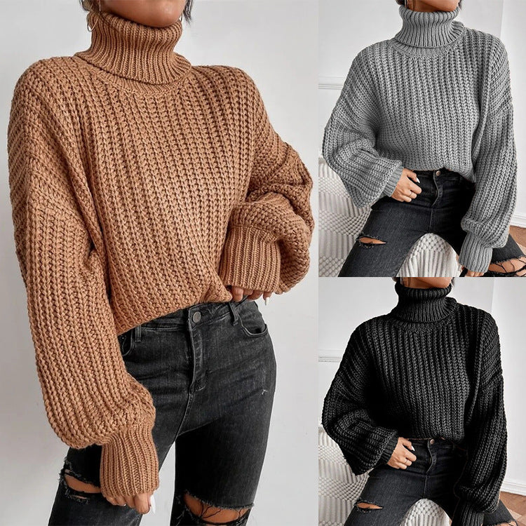 Women's Loose Knit Turtleneck Sweater